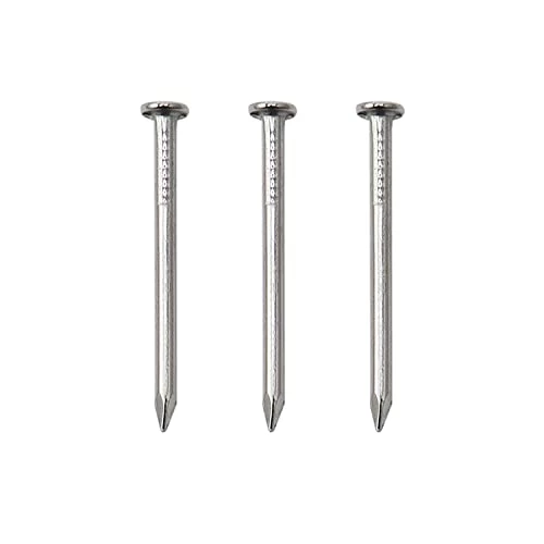 Cheapest π 500pcs Hardware Nails, 1 Inch Nickel Plated Hanging Nails, Wall Nails For Picture Hanging, Wood Nails, Wire Nails, Small Nails (1 In) βοΈ 1 Cheapest π 500pcs Hardware Nails, 1 Inch Nickel Plated Hanging Nails, Wall Nails For Picture Hanging, Wood Nails, Wire Nails, Small Nails (1 In) βοΈ