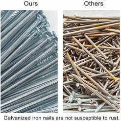 Best Sale 😍 HongWay 1500pcs Hardware Nails Assortment Kit, Galvanized Nails Set, Assorted 12 Sizes Wire And Common Brad Nails Flat Nails Finishing Nails Wall Nails For Pictures Hanging Woodworking ⭐ -Air Powered Tools Sales 61cW3Ihd6UL